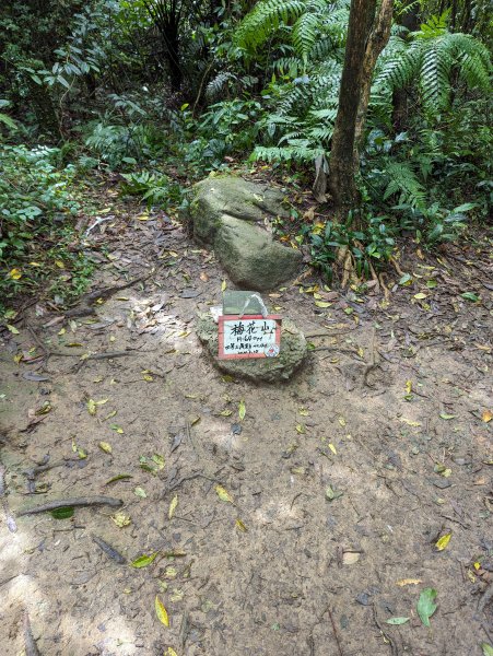 2023-10-22 臺北大縱走第四段2792960