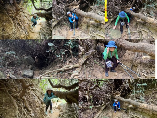 大社觀音山(小百岳#)2968410