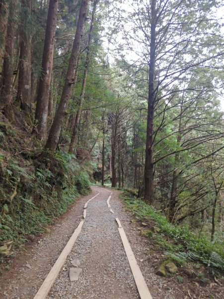 2026.02.14－特富野古道3013692