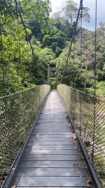 頭科山(大坑4號步道)3081121