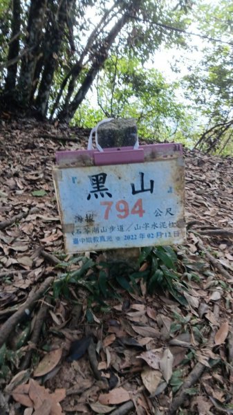 頭嵙山（小百岳 no.41）&石苓湖山O型親子團2326174