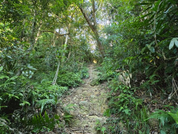 石牛山（小百岳）2909989