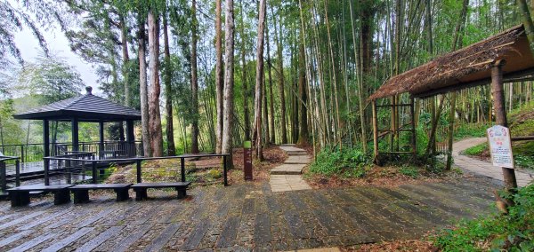 2025-01-18頂湖步道2694215