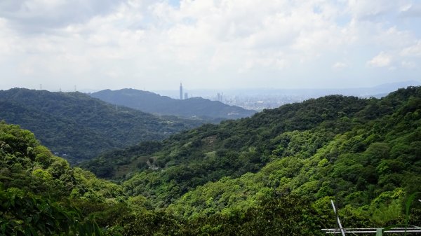 土白公路版1662780