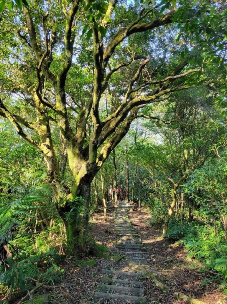 112.12.07 淡蘭古道（雙溪-十分）2551561