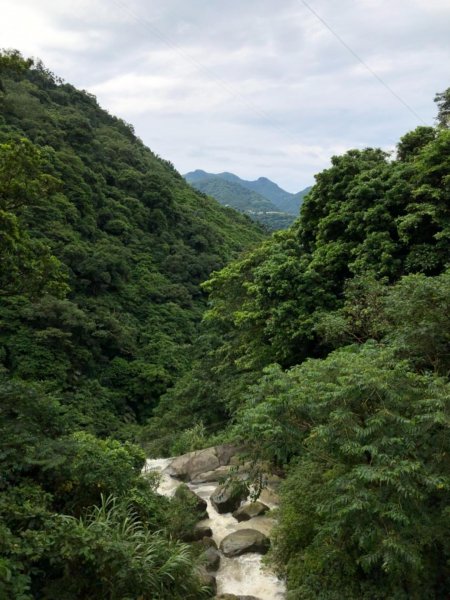 嘉義連峰獨立山大巃頂紅楠坑觀音石阿拔泉633140