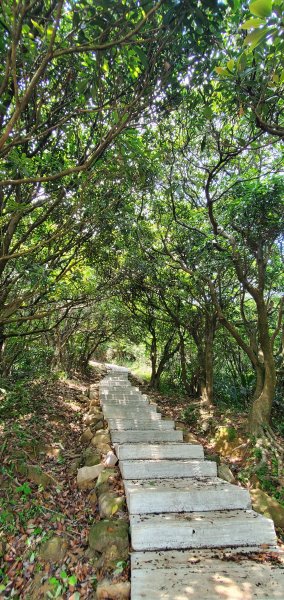 2024-04-20南子吝登山步道2484619