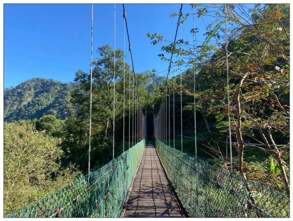 鳳凰谷鳥園步道2695891