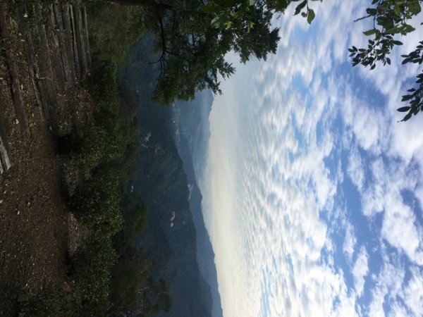 六寮崙山、雞罩山、白雞山8字走2371109