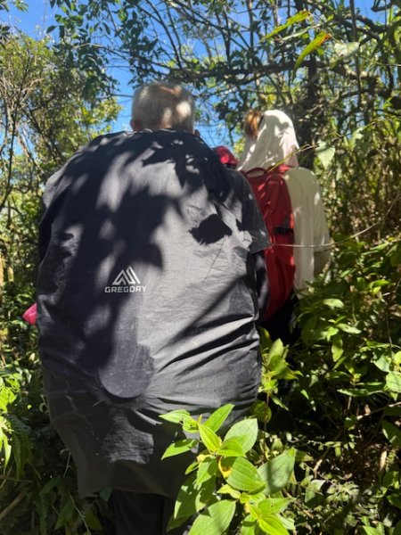 2025-08-30 豎旗山西北稜上-豎旗山-烏山古道西段下2874131