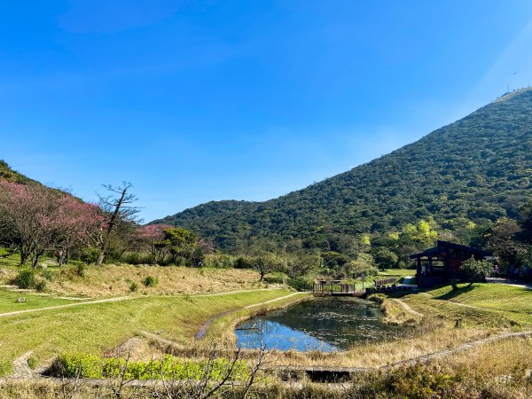 大屯主峰 遼闊景色1332729