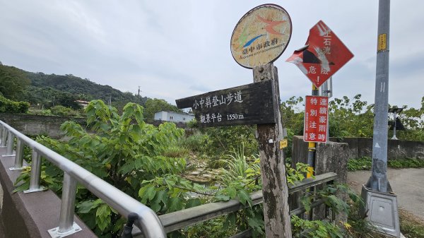 小中嵙登山步道頂中嵙山O形2385027