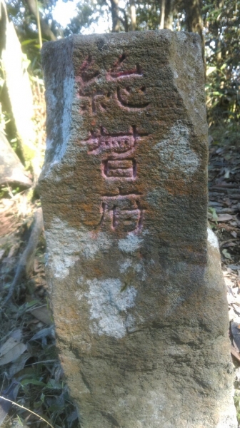 20160229新竹關西蓮苞山,外鳥嘴山31343