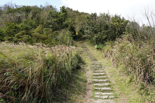 臺北 士林 香對山、頂山、杏林山、北五指山、高頂山、北頂山、馬蕃山、頂山溪山、五指山2703233