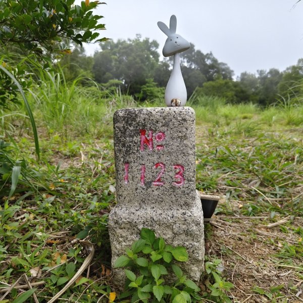 2025/04/20_鷂婆山步道2766602