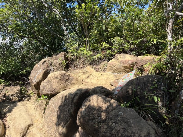 [微笑山線_第九段] 2025_0914 二格山系_天王峰2889578