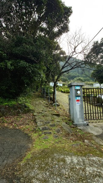 20260125 陽明山前後山健行(無極天元宮~山仔頂步道.向天池.向天山.面天山.二子坪)2997932