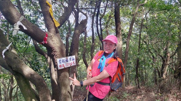 (姨婆趴趴走)第十三集:桃園龜山福源山步道、大棟山縱走2191713