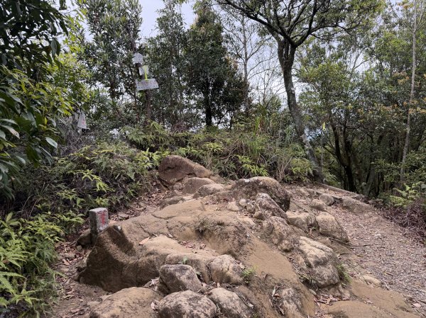 [微笑山線_第四段] 2026_0321 天上山系_石門內尖山3022063