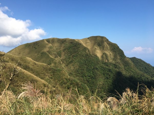 桃源谷(大溪-大里)558531