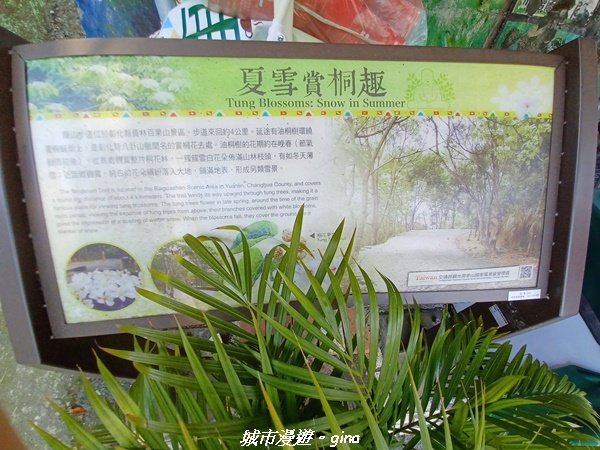 【彰化員林】員林百果山上最具人氣的休閒步道。 台灣百大必訪步道。 藤山步道1689493