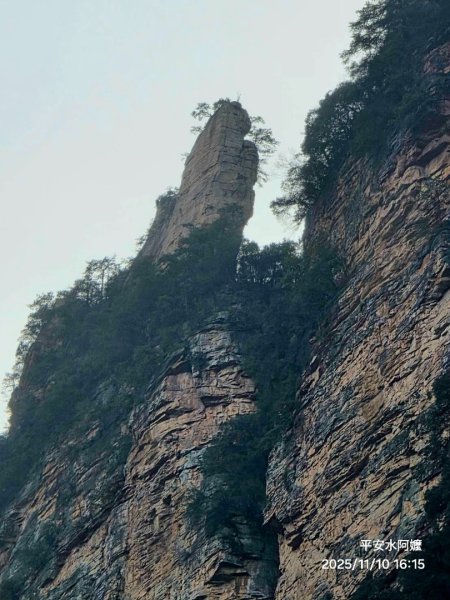 2025/11/8-10張家界園區2939335