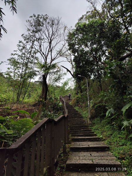【臺北大縱走6】中華科大步道→九五峰→南港山→糶米古道→軍功山→中埔山→福州山公園→富陽自然生態公園2730071