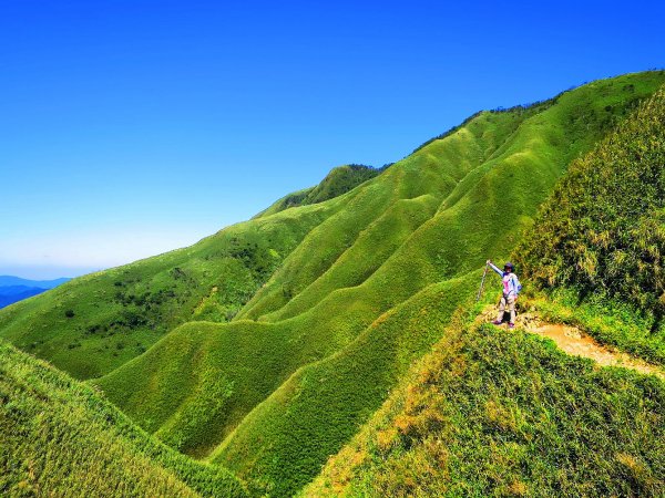 走聖母與三角崙山步道 再探神級抹茶山698513