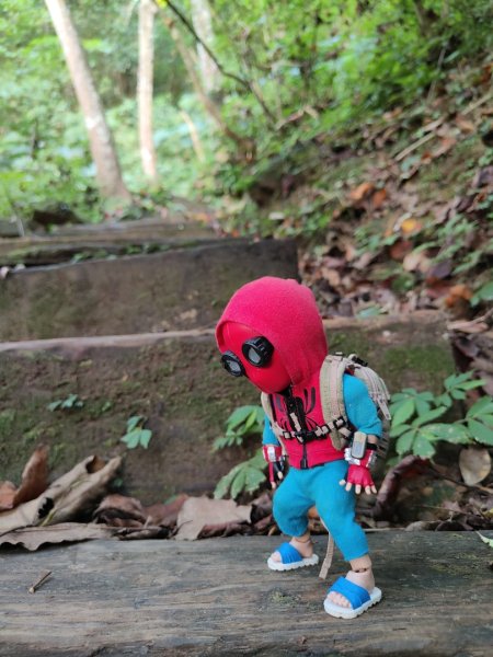 2023.12.14 土城天上山2827287