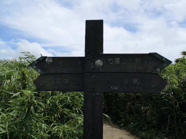 20200621七星山主  東峰登山步道1004174