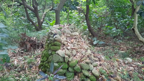 《彰化》果園古道｜廣天宮隴頂古道到鳳山寺O繞202509142884039