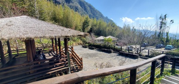 2025-01-30迷糊步道2704432