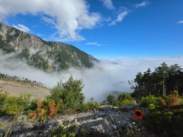 庫哈諾辛山 關山嶺山 溪頭山3135627