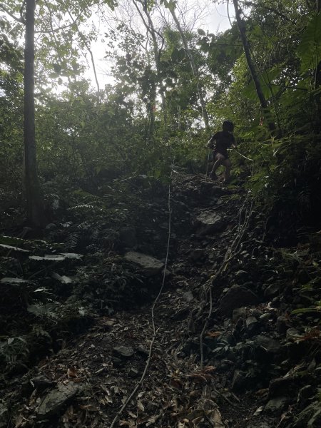 小百岳｜屏東獅子鄉女仍山1606866