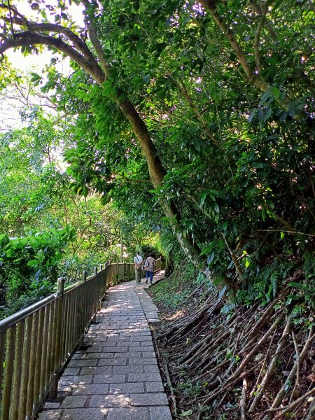 大湖公園《水光瀲灩晴方好》1906004