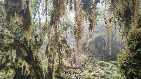 茶仁山單攻2025年4月4日2753338