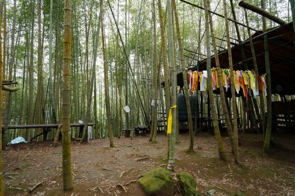 南投 鹿谷 溪頭山、竹崙山、志騰山2730633