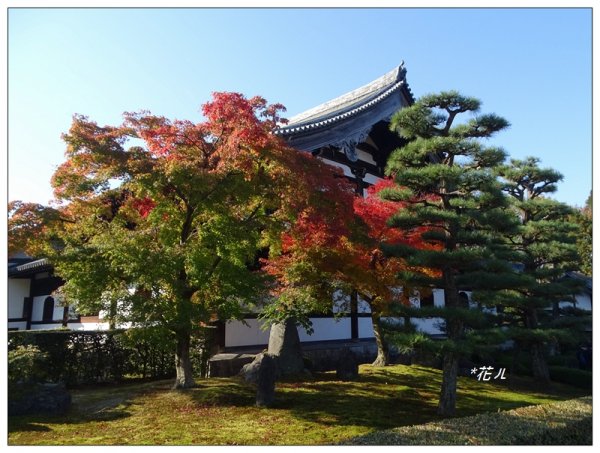 京都/東福寺的紅葉755240
