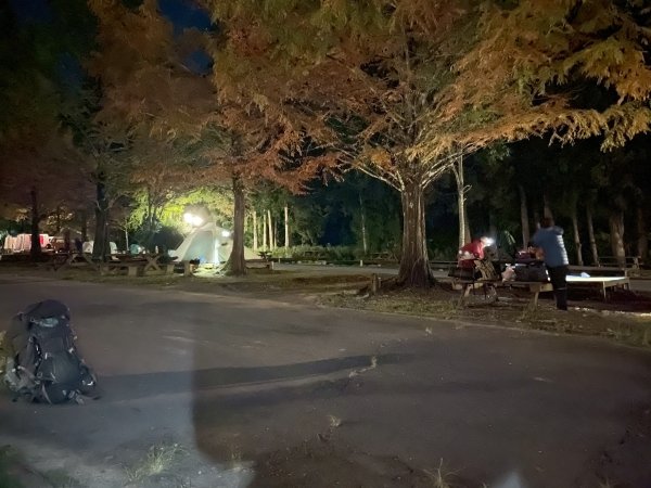 1141108-09桃山單攻2935951