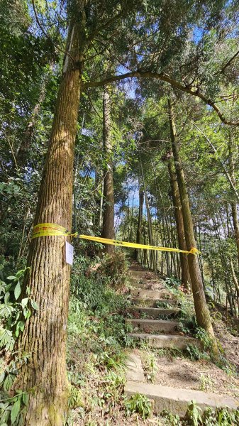 【四大天王山O型縱走未竟之旅：封山中的靜謐與省思】解鎖嘉義竹崎四大天王山、知鳥山。2929915