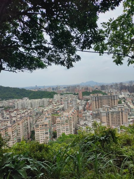 ［圓通寺烘爐地環山步道連走］（外挖子山,光明頂,南勢角山,青春嶺,國旗嶺）（2023/8/9）2245016