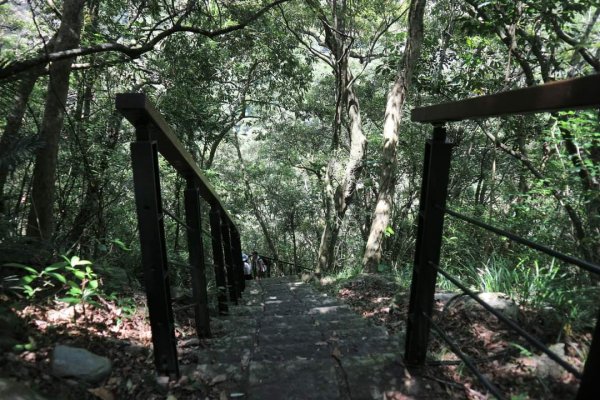 〔花蓮〕布洛灣吊橋+伊達斯步道+環流丘步道。一次走好走滿的布洛灣壯麗景觀步道2266357