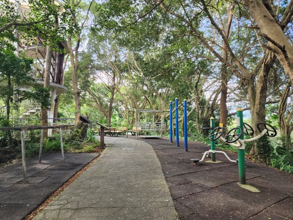 樹杞林山｜竹東森林公園步道×大鄉自然步道3060540