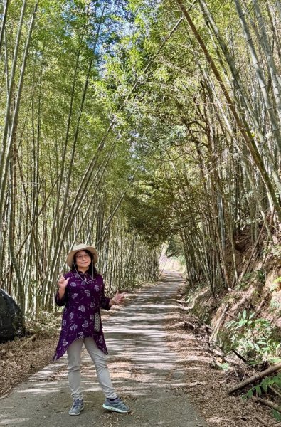 集集大山(小百岳#50）野店吃小吃2972040