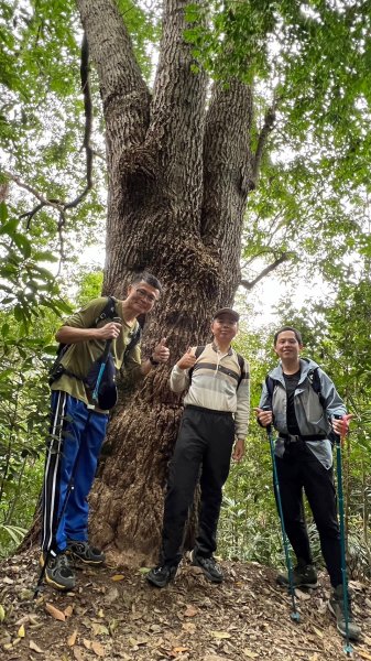 唐麻丹山O繞_20240127彰化野外育樂協會2411989