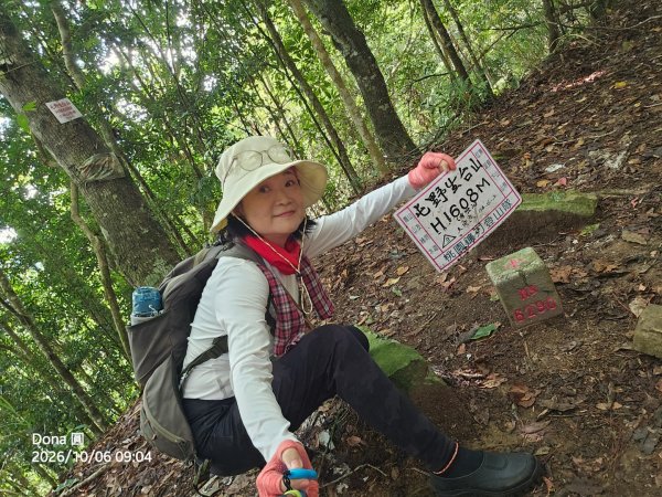 屯野生台山(秀巒山)＆石麻達山連走3129382