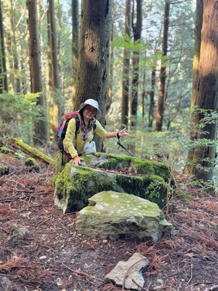 觀霧-榛山步道2926002