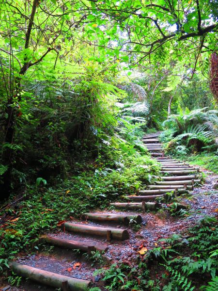 【宜蘭礁溪】清涼一夏：林美石磐步道389868