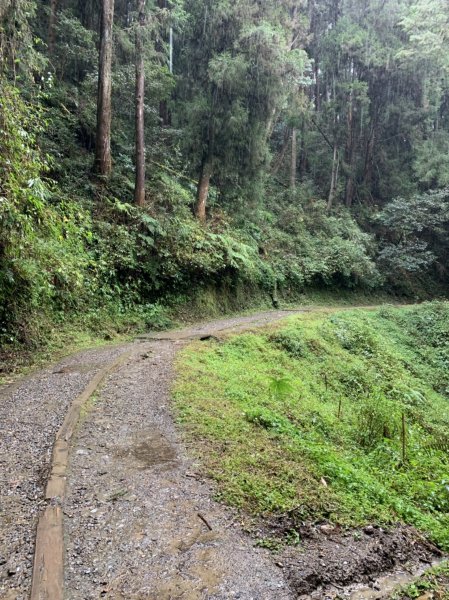 特富野古道封面