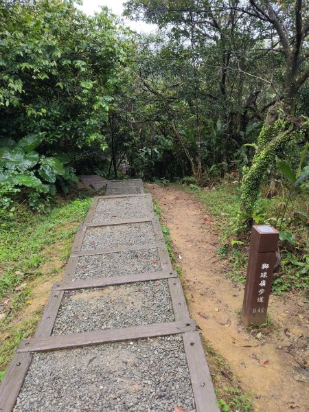 獅球嶺&劉銘傳隧道3010089